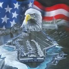 American Eagle on Aircraft Carrier Hoodliner.