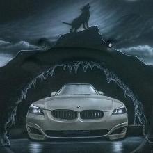 BMW Custom Hoodliner.
