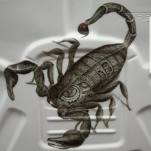 Custom Scorpion Hoodlineer.
