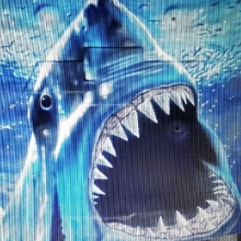 Shark Hoodliner.